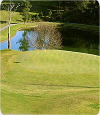 Amarante Golf